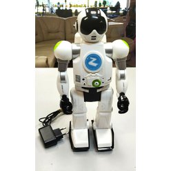 Robot